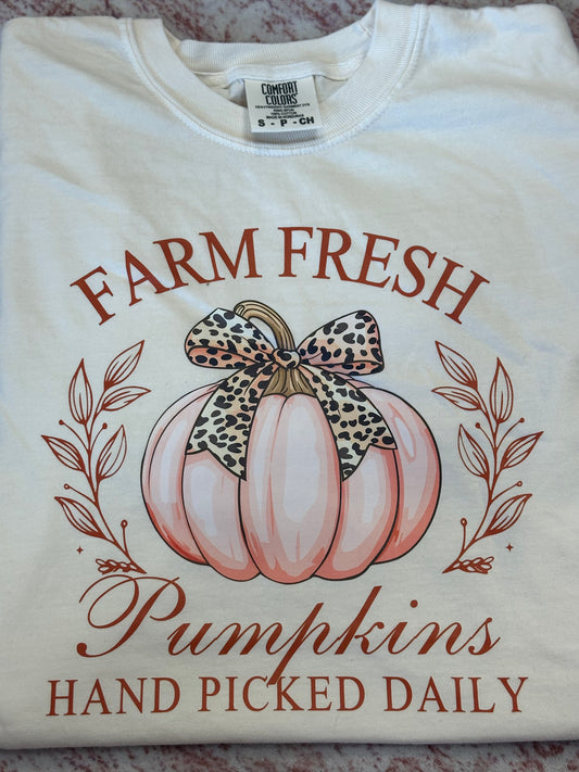 Farm Fresh Pumpkins Comfort Colors Tshirt